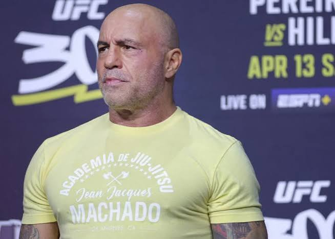 joe rogan net worth